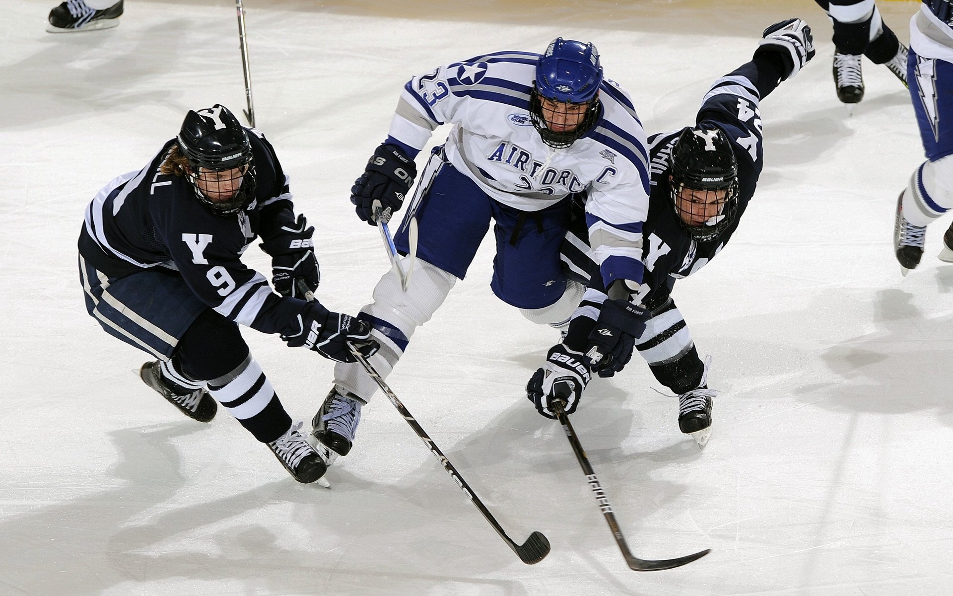 九游sports-瓜达拉哈拉球迷支持力度加大，主场气氛火爆，瓜达拉哈拉是哪里